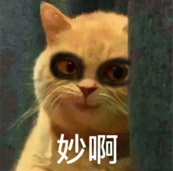 蔡徐坤被曝致人怀孕堕胎，粉丝列4点澄清，第一条让人笑出声