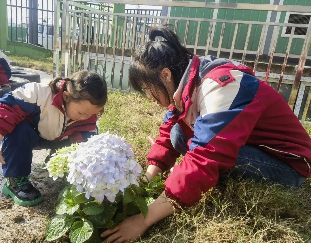 洪雅县第四幼儿园叫什么名字,洪雅第四幼儿园在哪里
