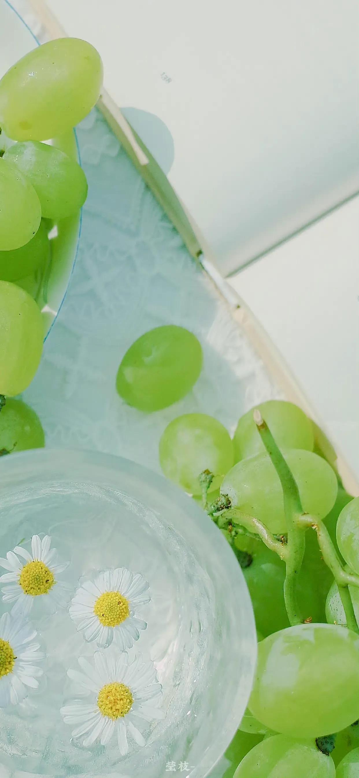 夏季清新凉快的壁纸高清,夏天一看就很凉爽的壁纸