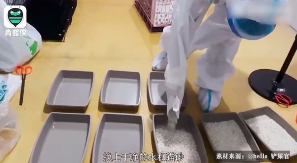 深圳宠物方舱建成多久了,深圳全国首家宠物方舱