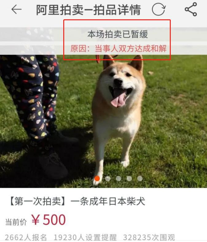 新手玩闲鱼千万别把闲鱼想得太难,如何在闲鱼正确的捡漏