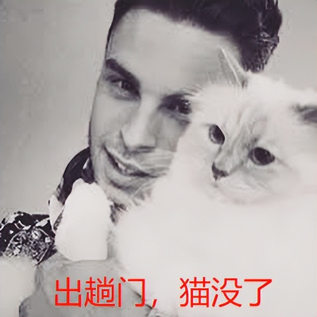 刘雯邓文迪,邓文迪杨紫琼