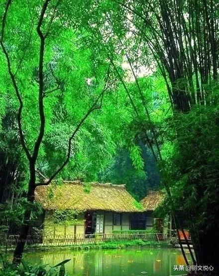 思辩的寓意,思辨能力是什么