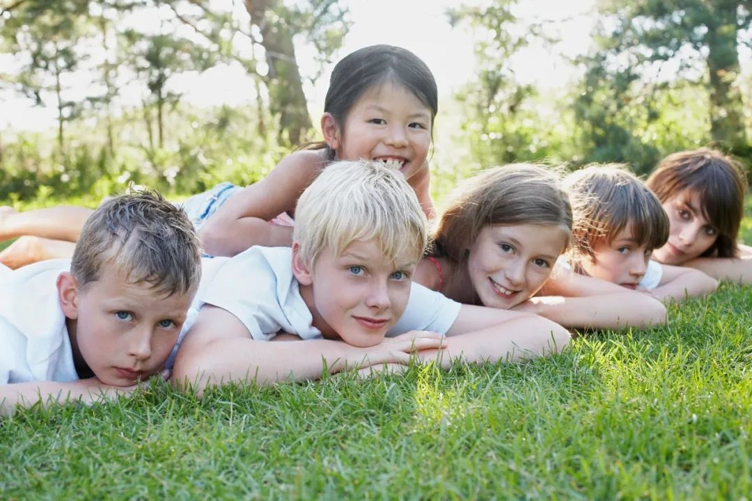 韭菜馅饺子风波,热搜韭菜馅饺子