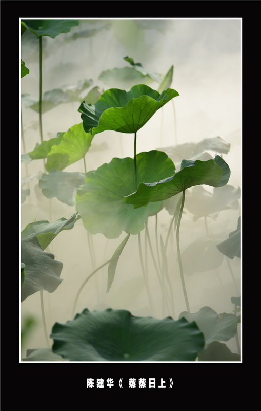 “喜迎*党**的二十大，巾帼老兵抒豪情”诗书画摄影电脑作品展