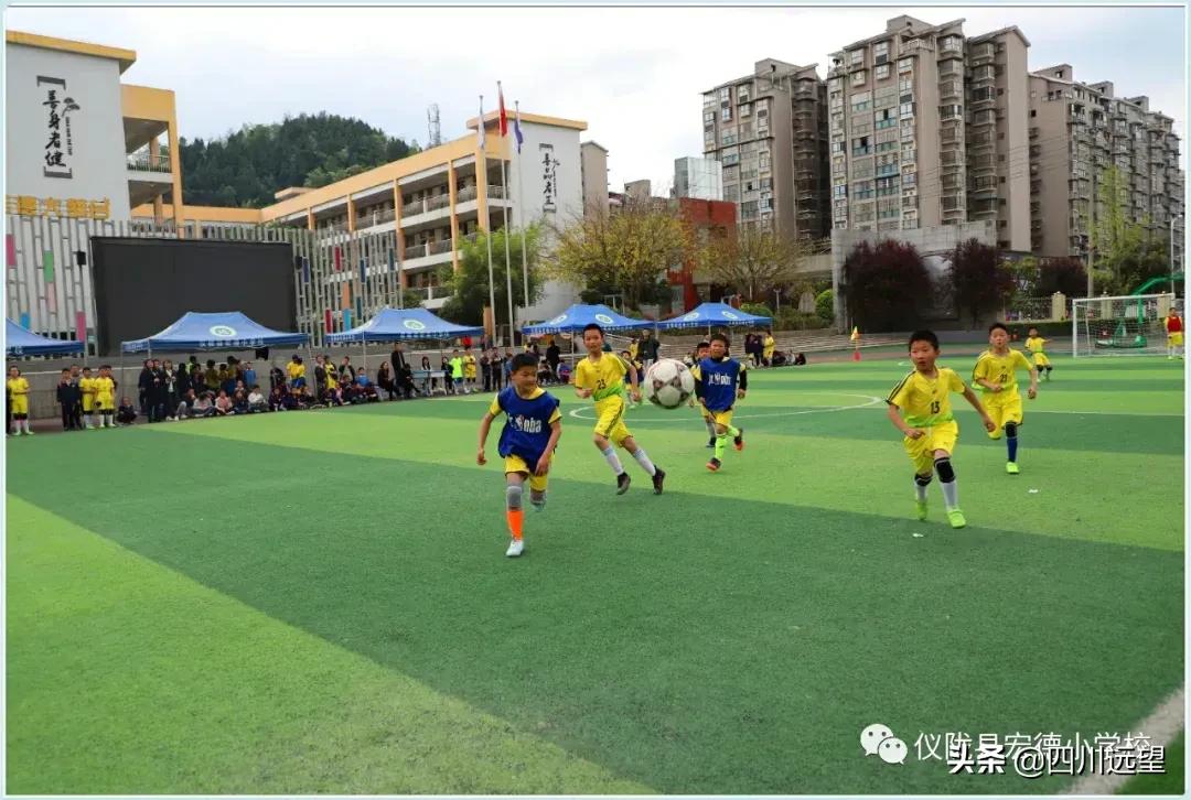 仪陇县新政小学足球联赛2023,仪陇县新政小学第九届足球比赛