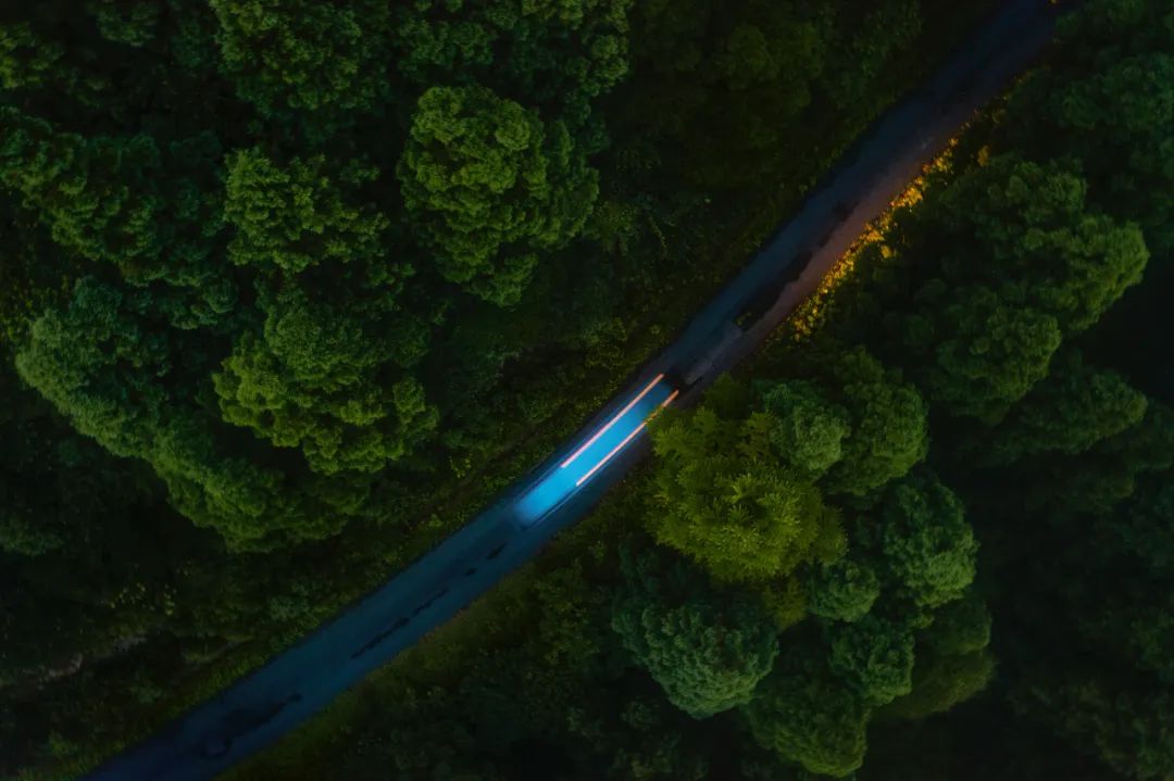 摄影师顾光辉：把爱好变成技能，摄影需要一种执着