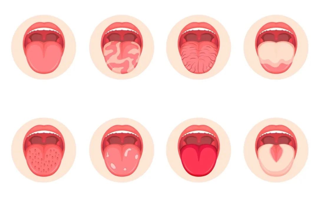 脾胃不好中医调理长高,脾胃调理一年四季各有妙招