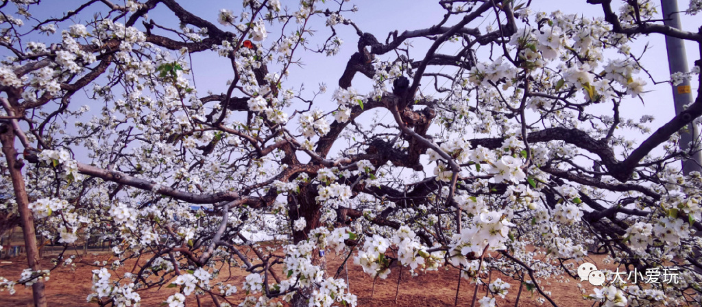 适合三天两夜的自驾亲子旅游胜地 (6条不同的游览路线供游客自由选)