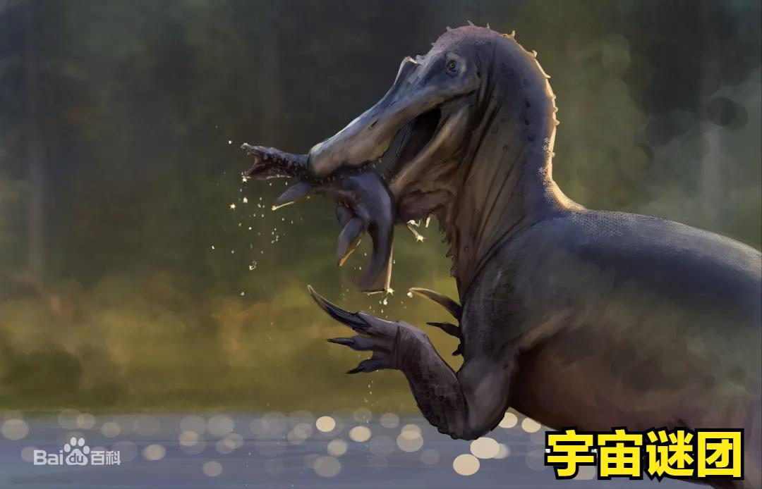 恐龙小百科认识更多的恐龙,恐龙大百科里有什么没见过的恐龙