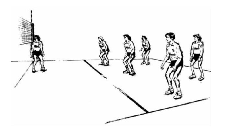 排球的基本技术有哪些,排球基本技术有哪些