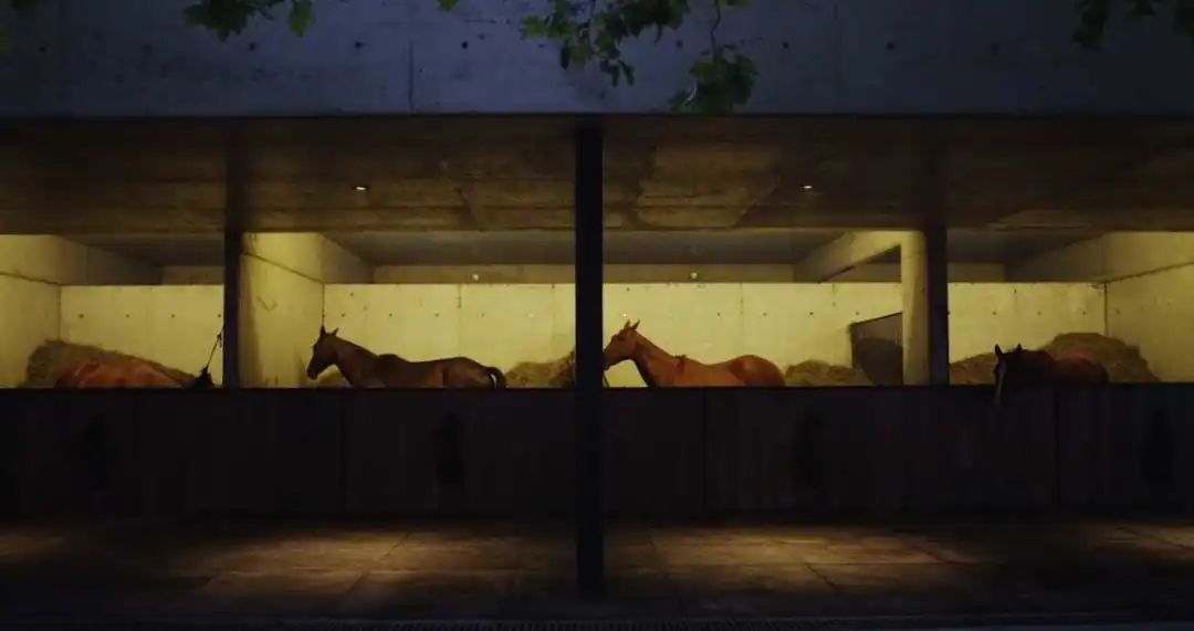 阿根廷EstudioRamos建筑事务所-真诚的现代主义！|EstudioRamos