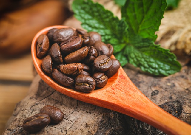 十大高档咖啡猫屎咖啡,猫屎咖啡和什么咖啡最贵