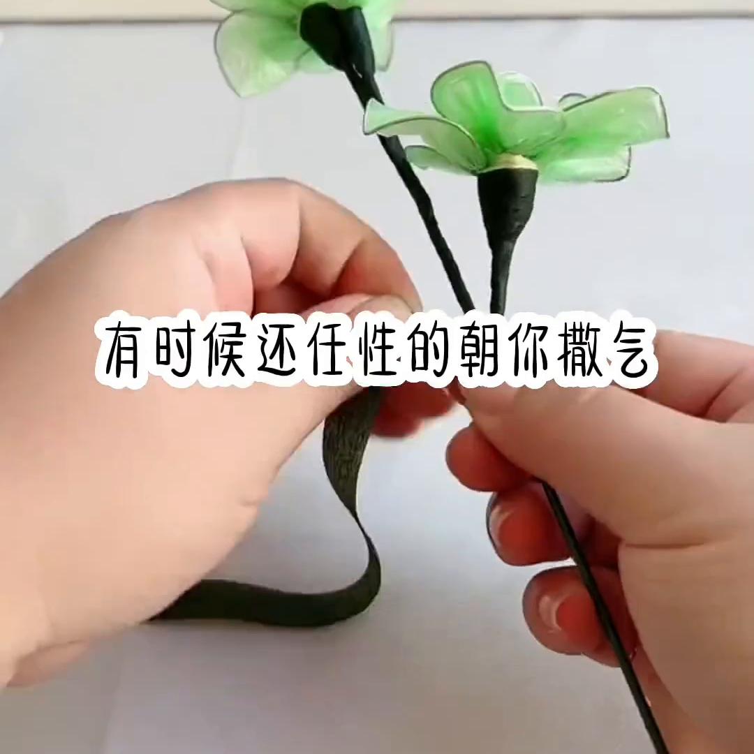 专情的男生,推荐优质男友