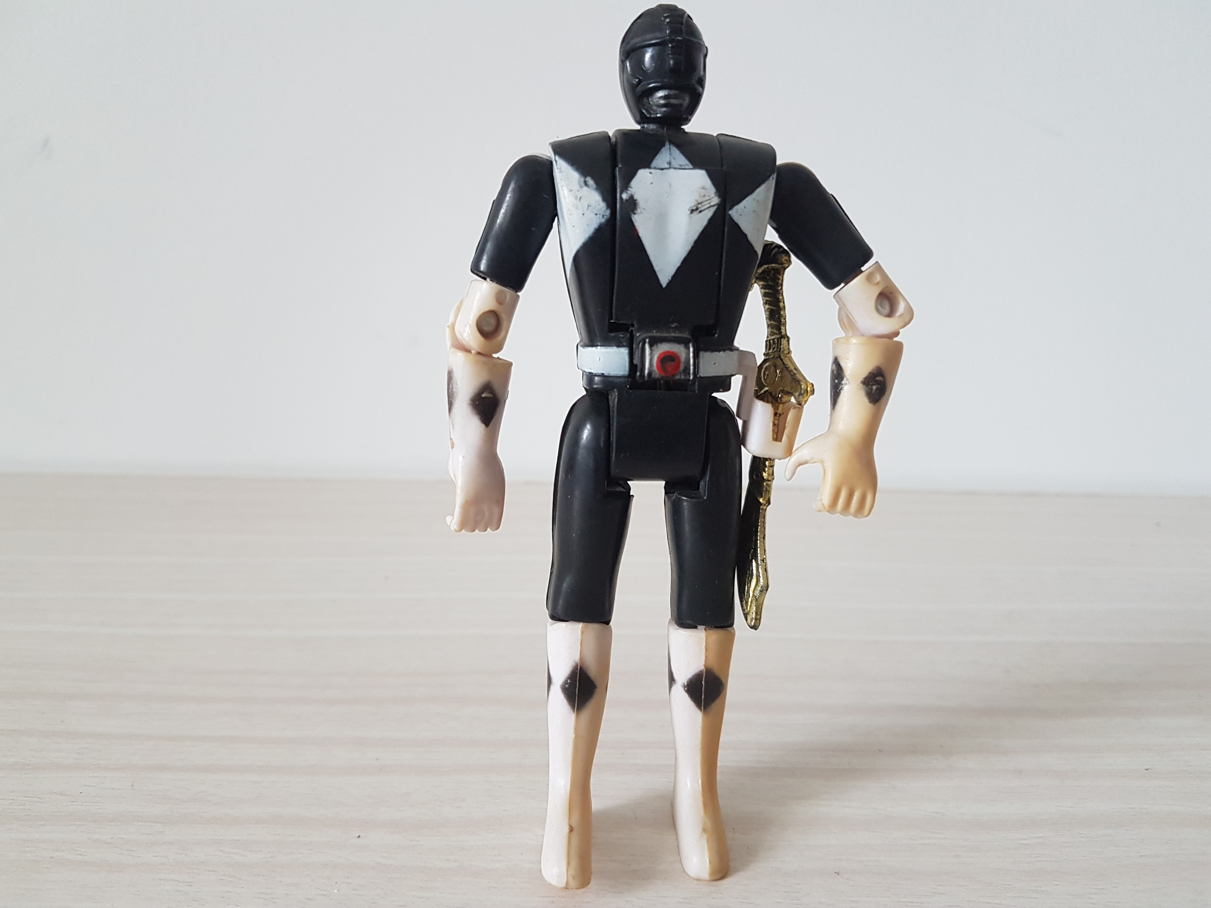 恐龙战队39,恐龙战队19