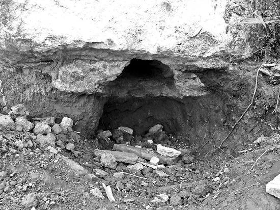 老猫猴真实存在吗,老猫猴的真实样子