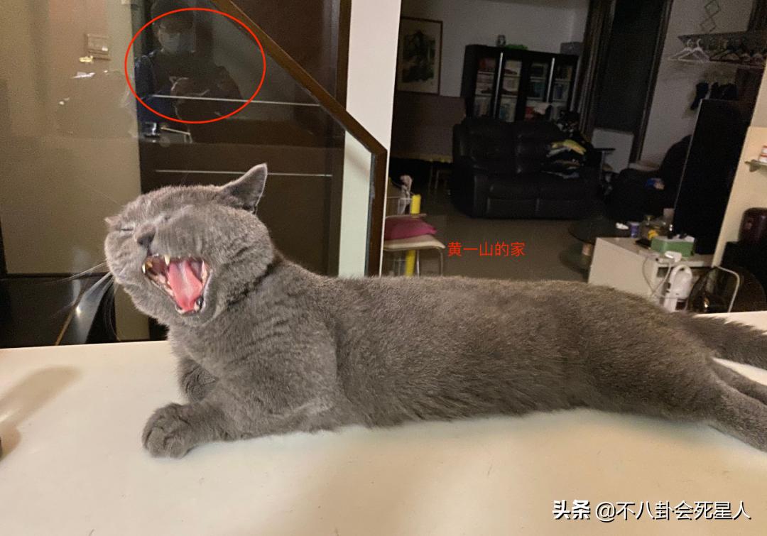 有大陆居住证的台湾明星,港台艺人内地居住证