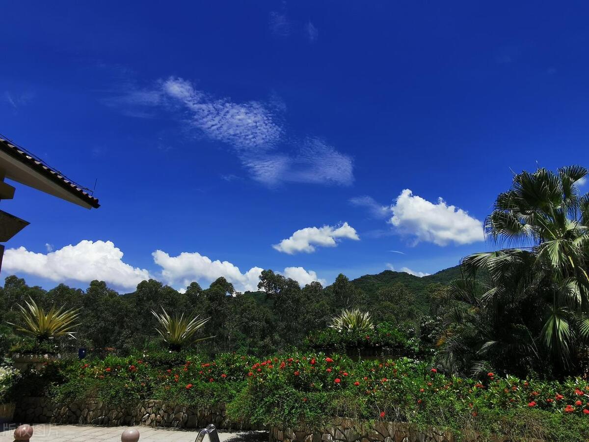 惠州自驾游十大免费景点推荐,惠州一日游必去十大景点