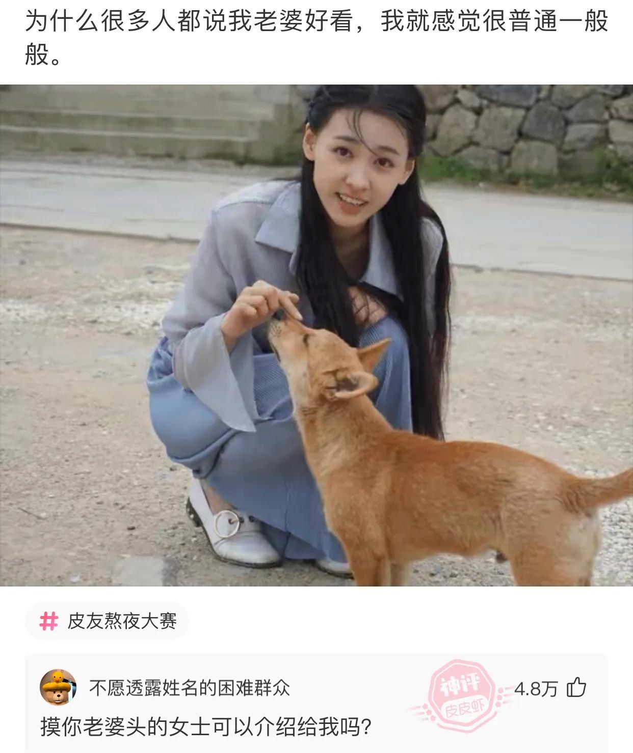 爆笑吐槽侮辱人的智商,盘点侮辱性极强的十大爆笑集锦