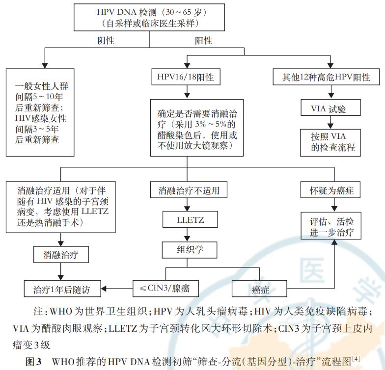 HPVDNA检测应用于健康体检人群子宫颈癌初筛的专家共识