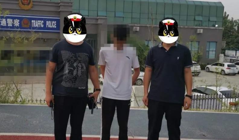 为多家物流公司非法带路，获取非法收入，违法必究！