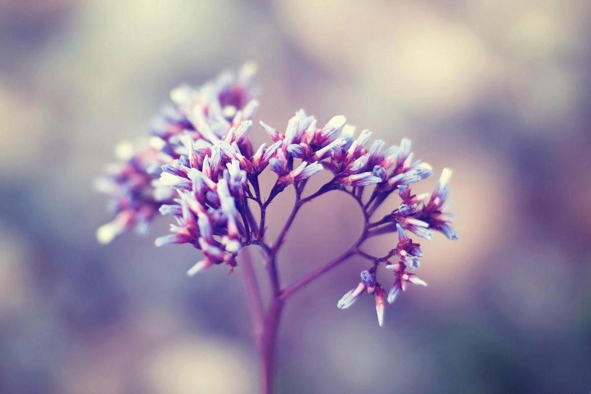 一个家庭慢慢走向衰败的前兆,家庭的衰败取决于5个根本