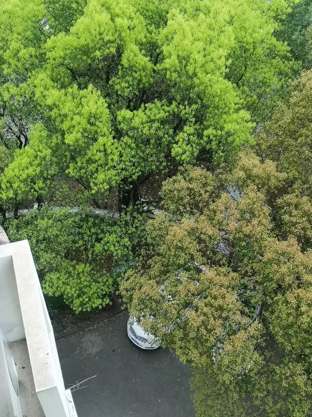 错过了一个秋天,错过了一个春秋