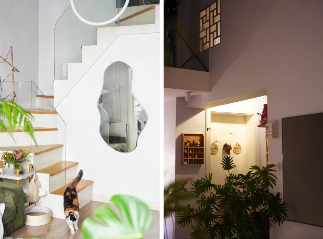 封控48天，*靠我**7㎡储藏室实现物资自由，安全感十足