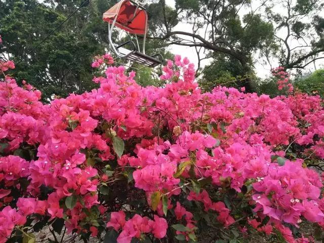 静等春暖花开抒情散文,春暖花开散文名家名作