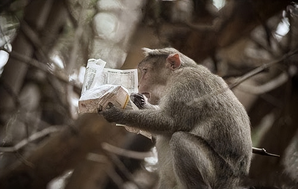 股市1级市场和2级市场分析,股市是二级市场还是一级市场