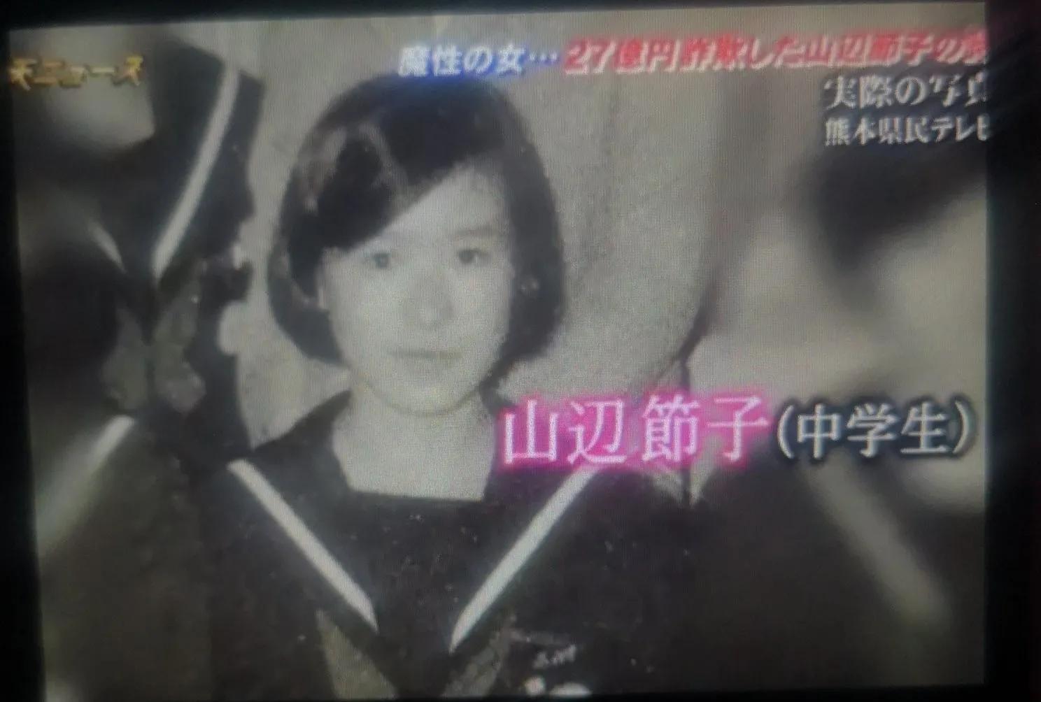 绿茶女诈骗案例,诈骗12亿日本女诈骗犯