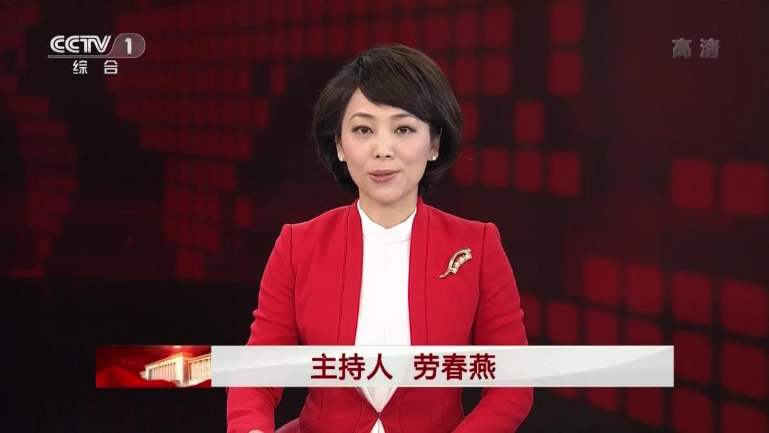 鲁豫和董卿哪个主持得好,央视主持人大赛2019董卿精彩点评