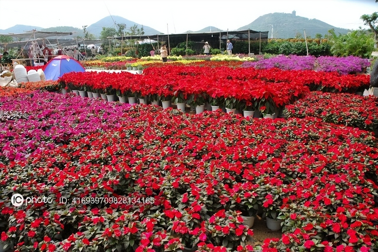 你发现哪些不体面又赚钱的工作,看似不起眼实则很赚钱的行业