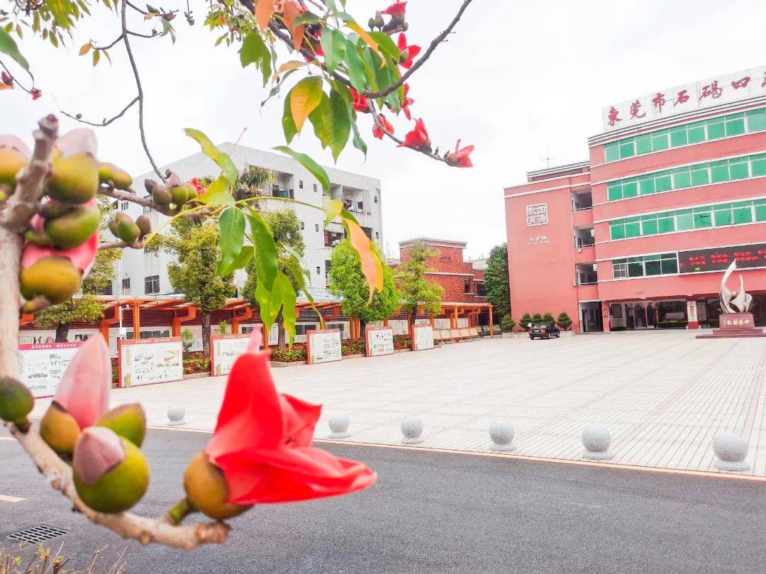 石碣四海学校是公办还是民办,东莞石排四海学校招生