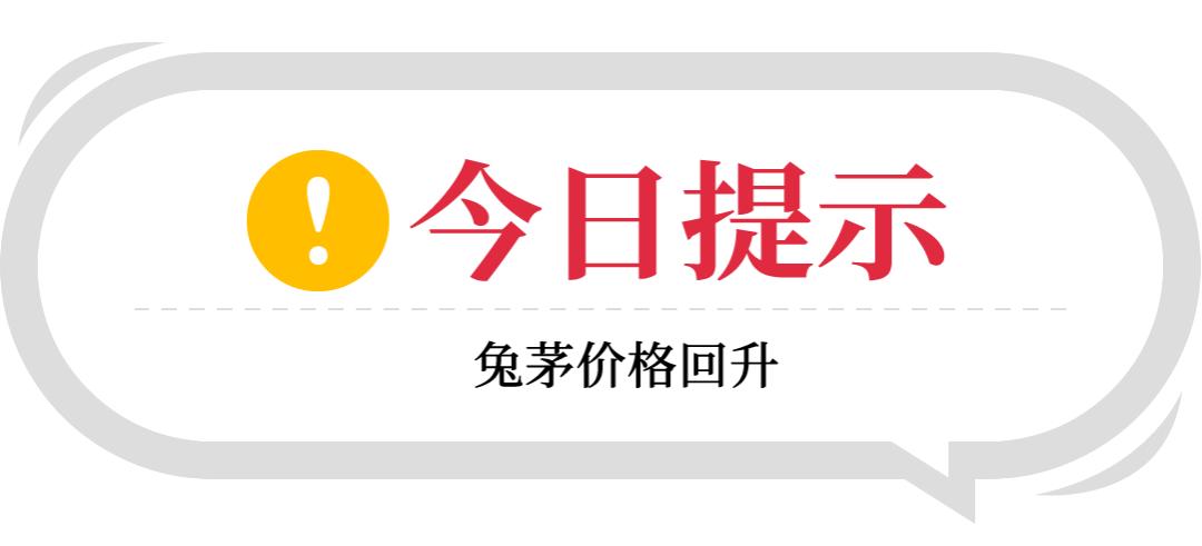 2022年1月5日飞天茅台价格,飞天茅台酒2月每日行情价