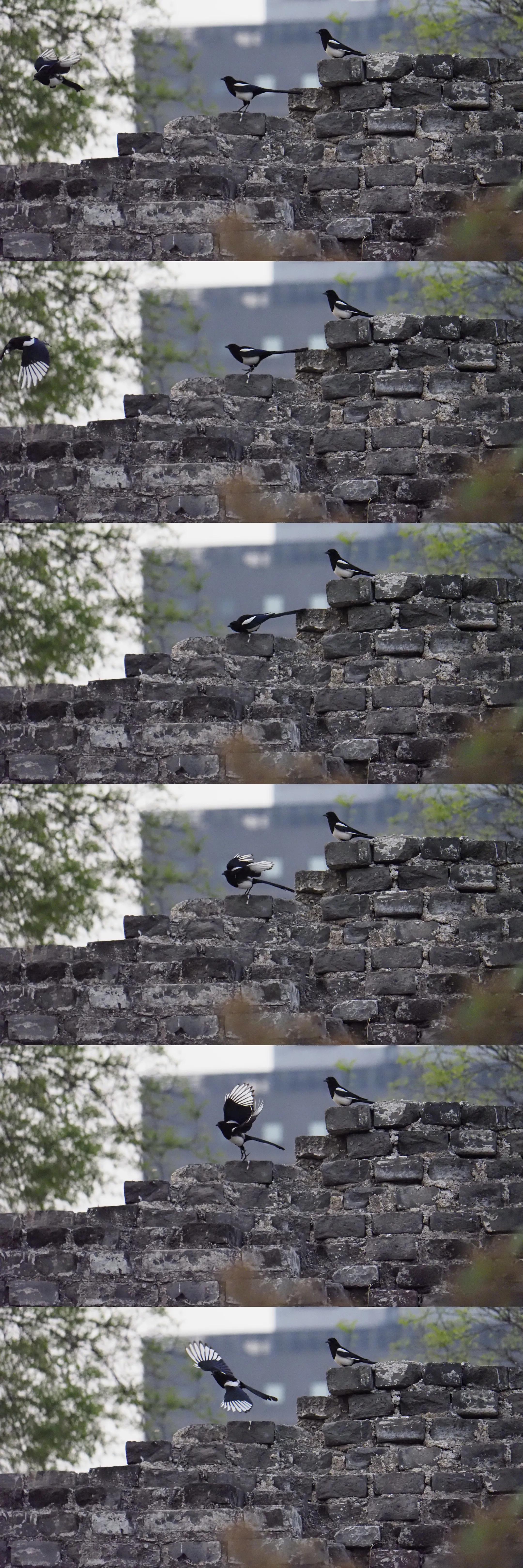 低价变焦摄像头,低价超长焦镜头