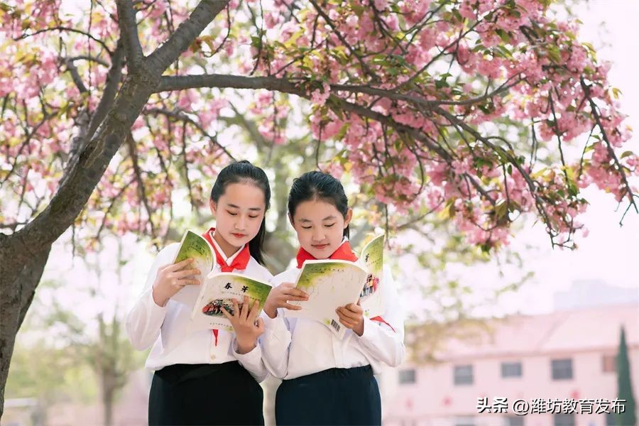 美！潍坊校园春景强势来袭