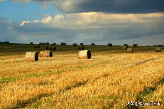 农村土地承包给个人合法吗,农村土地承包种地合算吗