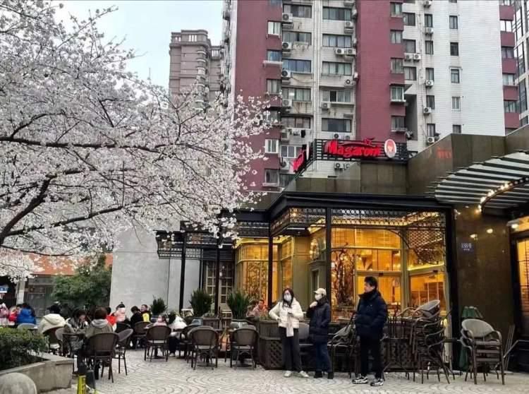 虹口公园美食,虹口可以看樱花的餐厅