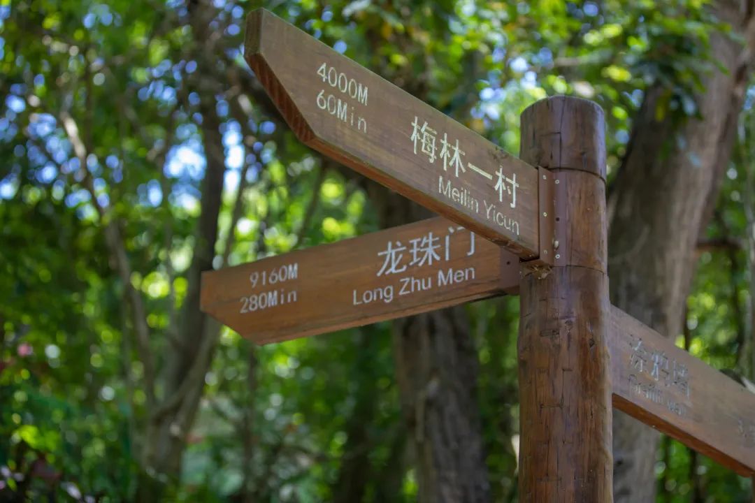 深圳梅林水库绿道线路图,深圳首条手作步道