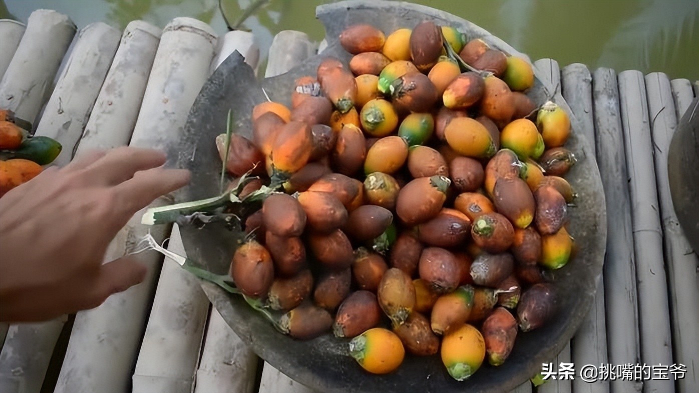 苏里南中国春节,苏里南的特色水果是什么