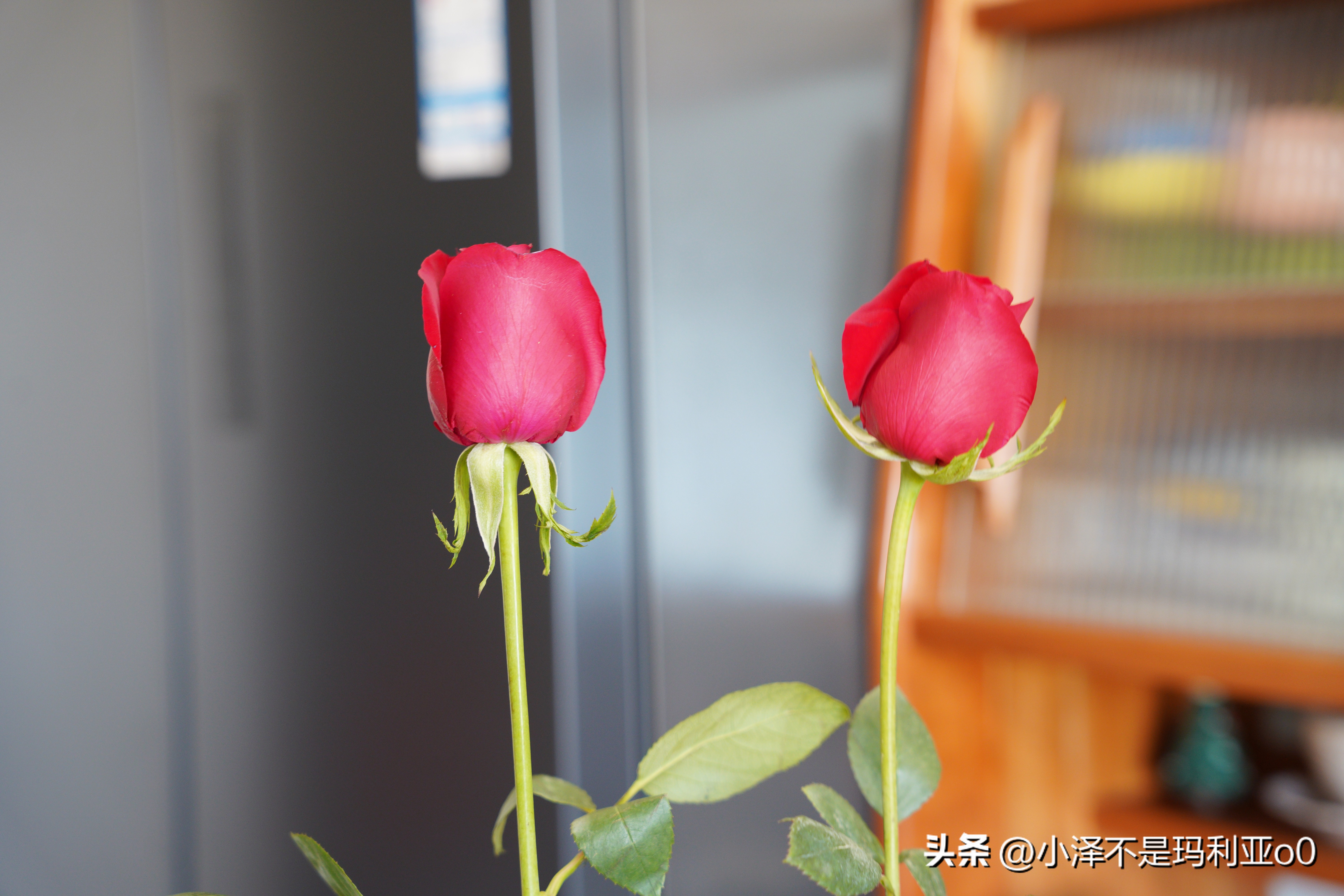 tcl嵌入式超薄t9冰箱尺寸规格,tcl嵌入式t9冰箱装修顶部预留尺寸