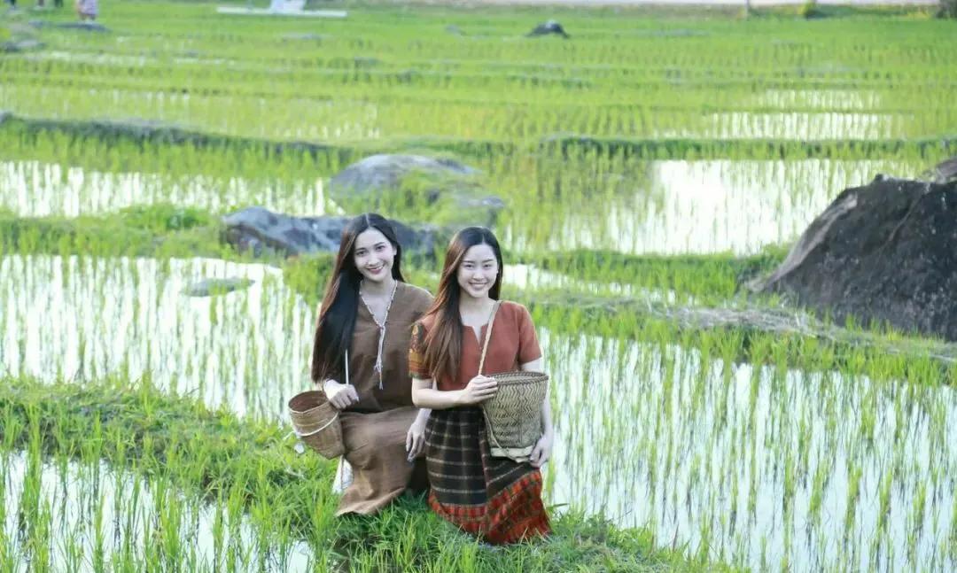 奥德赛前往下一个国家按哪个键,奥德赛前往下一个国家