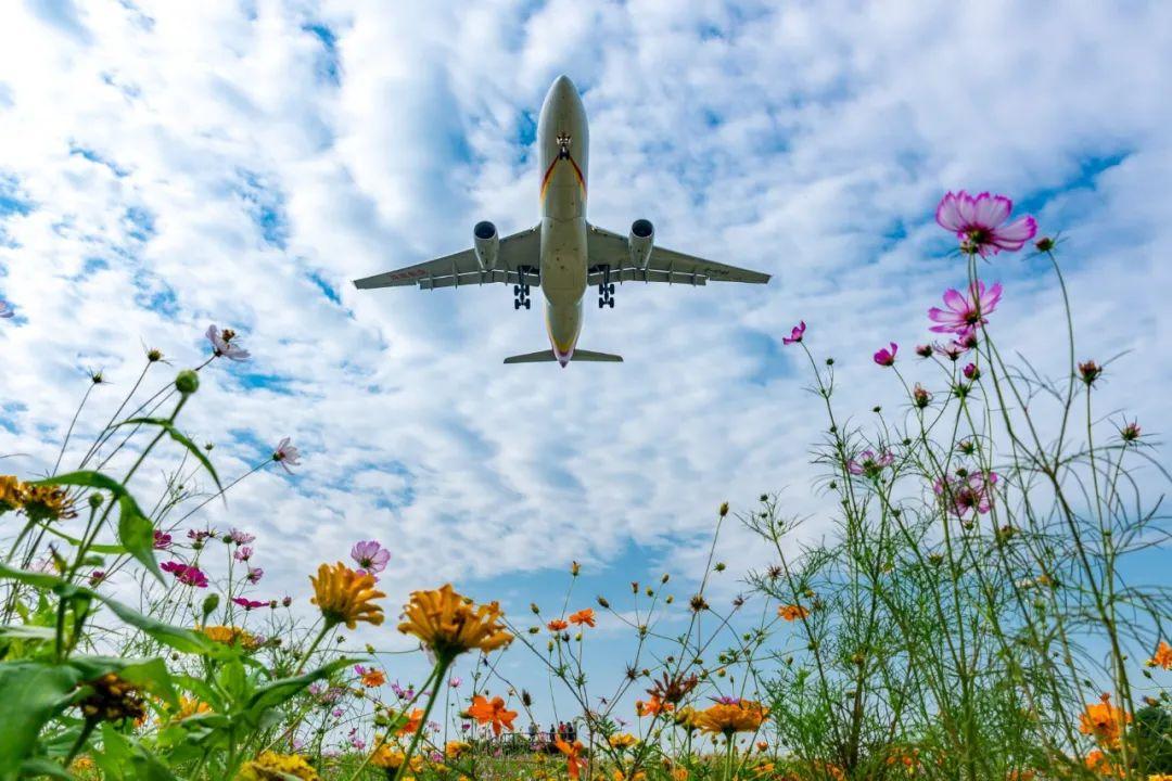 8月出游去哪儿？20条精品旅游线路带你畅享假日活力