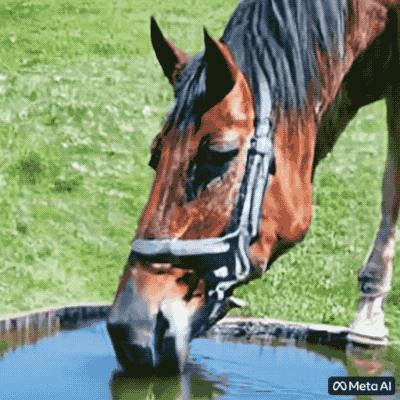 用嘴制作的动画,用嘴巴做东西的视频