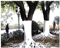 2022年中考化学试卷黑龙江哈尔滨,2022年中考化学试卷及答案