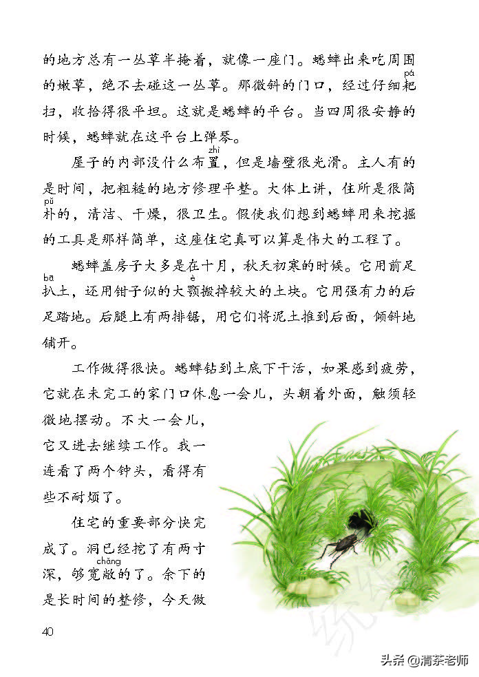 人教四年级上册语文电子课本,人教语文四年级上册电子课本