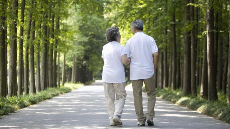 花生是心血管病的克星还是营养品,花生是心血管的祸根还是福音