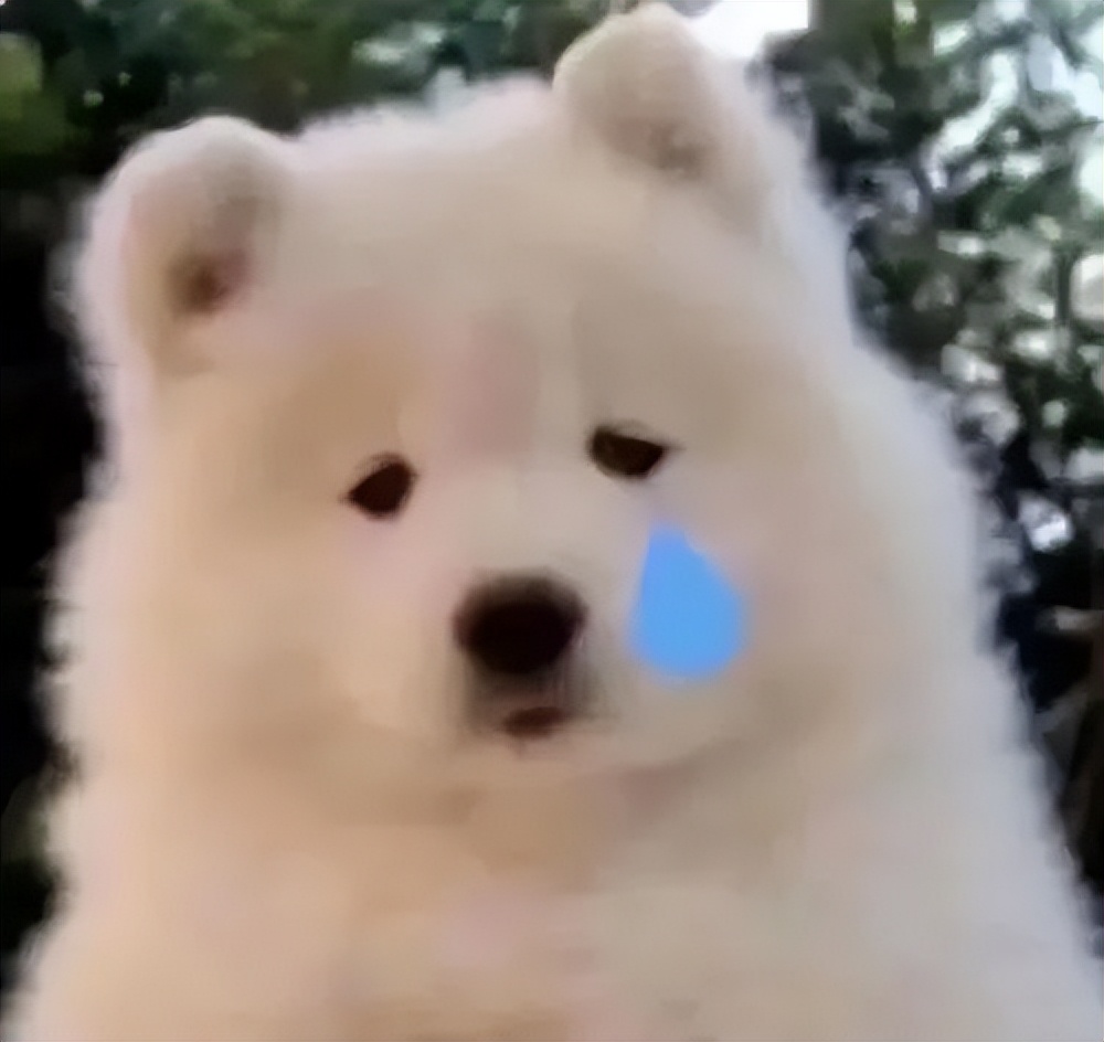 期末改卷老师,期末老师改试卷会看作文吗