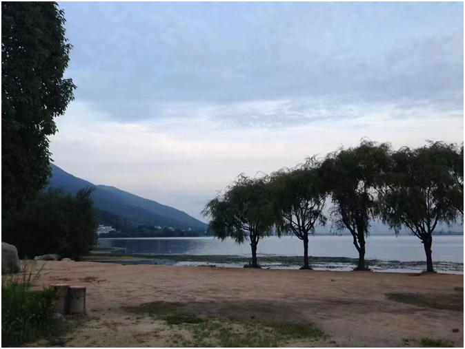 大学芳华,大学芳华苑